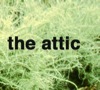 the attic